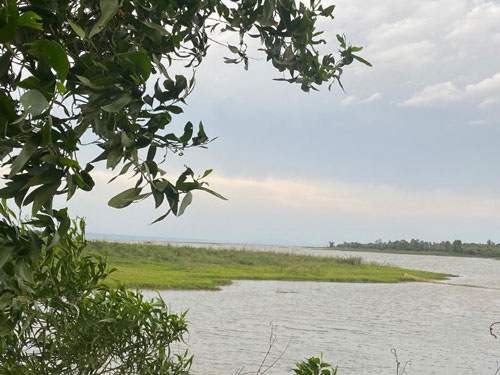 Biến tướng farmstay: khu du lịch trải nghiệm nông thôn Biến tướng farmstay: khu du lịch trải nghiệm nông thôn