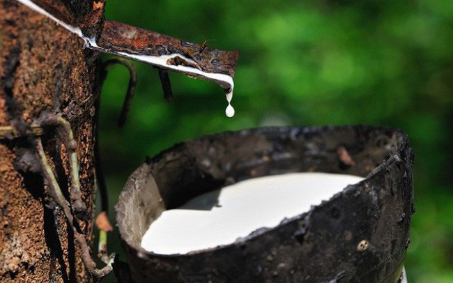 Thị trường ngày 26/2/2021 Giá dầu tiếp tục tăng, cao su lên cao nhất trong 4 năm