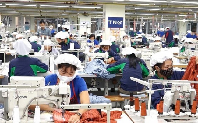 Tin mới hôm nay về TNG sắp phát hành gần 6,4 triệu cổ phiếu trả cổ tức năm 2021 với tỷ lệ 8%