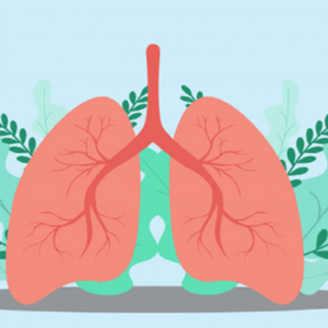 Ăn nhiều năm sẽ tống được chất độc ra ngoài, đặc biệt tốt cho phổi bị tổn thương do hút thuốc!: Loại RAU được mệnh danh là thần dược bổ phổi tự nhiên