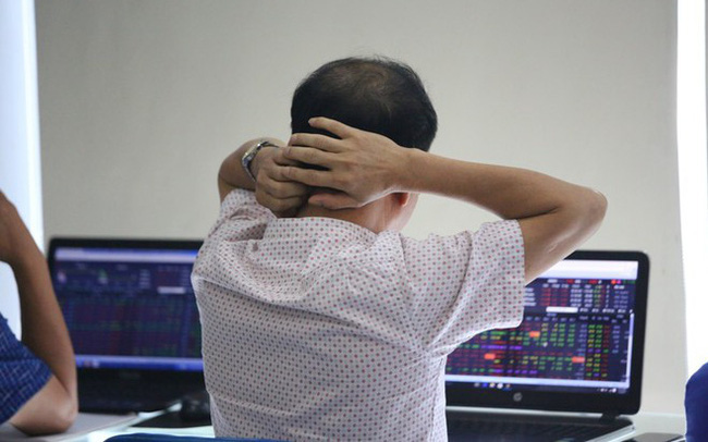 Cần suy ngẫm để trưởng thành hơn!: Một năm nhìn lại của nhà đầu tư F0