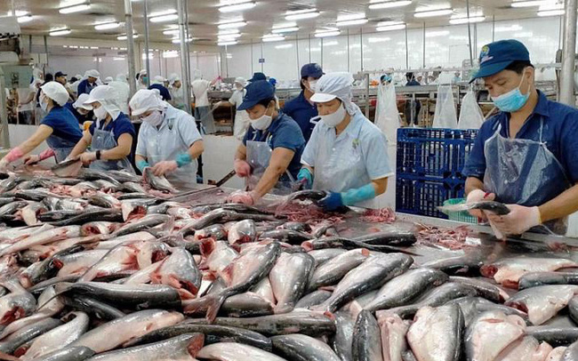 Triển vọng thuận lợi, loạt doanh nghiệp thuỷ sản đặt kế lợi nhuận 2022 tăng trưởng 3 chữ số