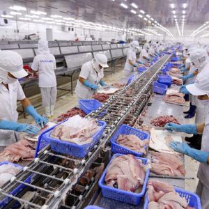 EVFTA gỡ 2 khúc mắc cho kinh tế Việt Nam