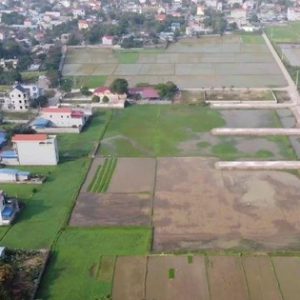 Các huyện Hà Nội tiếp tục đấu giá nhiều lô đất, khởi điểm thấp nhất một triệu đồng/m2