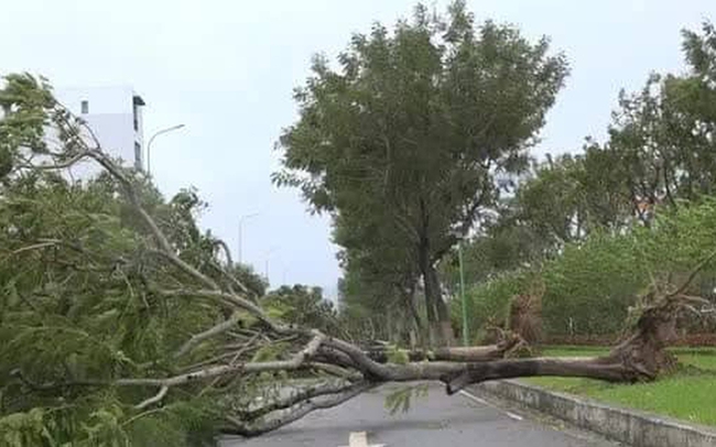 Siêu bão Noru đổ bộ: Hàng 100 ngôi nhà bị tốc mái, cây đổ la liệt, 4 người bị thương