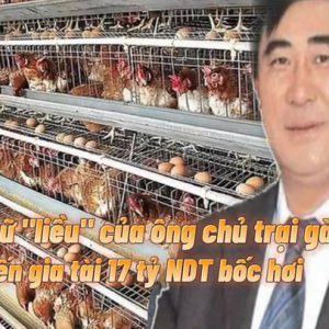 Vất vả xây dựng gia tài 17 tỷ NDT từ trang trại 300 con gà, tỷ phú Trung Quốc cuối đời phải trả giá đắt vì một chữ liều