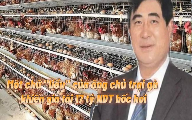 Vất vả xây dựng gia tài 17 tỷ NDT từ trang trại 300 con gà, tỷ phú Trung Quốc cuối đời phải trả giá đắt vì một chữ liều